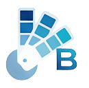 Branding & Visual Identity